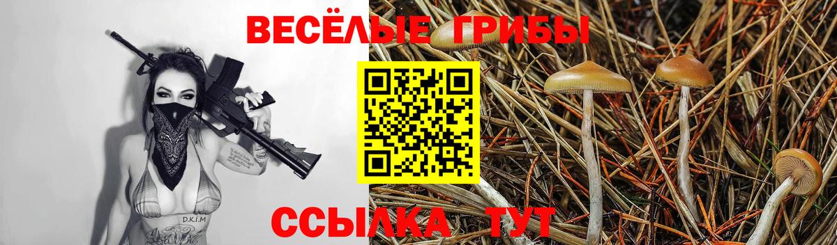 Галлюциногенные грибы мухоморы Жуковский