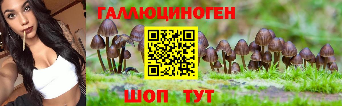 цены наркотик  Вход с VPN  Жуковский  Галлюциногенные грибы мухоморы  Псилоцибиновые грибы прущие грибы 